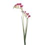 Branche artificielle Freesia SVERINA, rose vif, 80cm