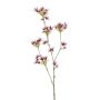 Branche d'hamamélis artificielle PLATRES avec fleurs, rouge bordeaux, 80cm