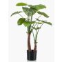 Alocasia Calidora artificiel XABIA, vert, 110cm