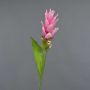 Curcuma artificiel LAROUCO, rose fuchsia, 80cm