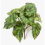 Bégonia rex artificiel MEIRA sur piquet, vert-noir, 25cm