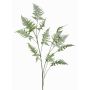 Branche d'asparagus plumosus artificielle FAYNA, 135cm