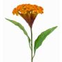 Célosie artificielle ANUBIS, jaune-orange, 60cm, Ø13cm