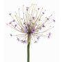 Allium en plastique GETARIA, lilas, 105cm