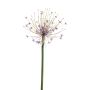 Allium en plastique GETARIA, lilas, 105cm