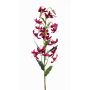 Fleur artificielle lys tigré ARAMAIO, rouge bordeaux, 80cm