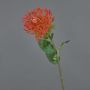 Fleur artificielle Protéa HERVAS, rouge, 70cm