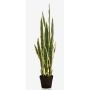 Sansevieria artificiel ELENE, vert-jaune, 95cm