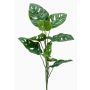 Philodendron Monstera Deliciosa artificiel BERLANGA, piquet, 75cm