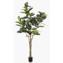 Ficus Elastica artificiel FERIA, tronc artificiel, vert, 210cm
