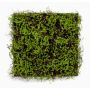 Tapis de mousse artificiel MIRANDILA, vert, 50x50cm