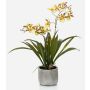 Fausse orchidée Oncidium COLUNGA en pot en céramique, jaune-orange, 45cm