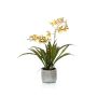 Fausse orchidée Oncidium COLUNGA en pot en céramique, jaune-orange, 45cm