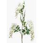 Branche de glycine artificielle ONORATO avec fleurs, crème, 70cm