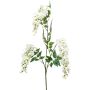 Branche de glycine artificielle ONORATO avec fleurs, crème, 70cm