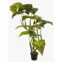 Colocasia artificiel SOTU, vert, 175cm