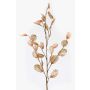 Branche de lunaire artificielle BUELNA, brun clair, 105cm