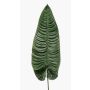 Feuille de colocasia artificielle ABANTO, vert, 105cm