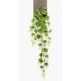 Hoya kerrii artificiel ORERA sur piquet, vert, 90cm