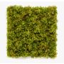 Tapis de mousse d'Islande décoratif BEAS, crossdoor, difficilement inflammable, 50x50cm