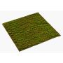Tapis de mousse grimmia artificiel FERMIN, vert, 100x100cm