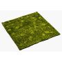 Tapis de mousse hypnum artificiel FERMIN, vert, 100x100cm