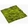 Tapis de mousse de sphaigne artificiel FERMIN, vert, 100x100cm