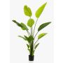 Strelitzia artificiel BEDAR, vert, 150cm