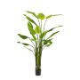 Strelitzia artificiel BEDAR, vert, 235cm