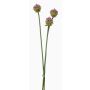 Bouquet d'Alliums artificiels LAMDA, violet-vert, 65cm