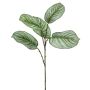Branche artificielle Calathea Orbifolia ALNIYAT, vert-blanc, 75cm