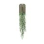 Suspension artificielle Rhipsalis TUREIS, sur piquet, vert-gris, 70cm