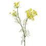 Branche artificielle Fleurs d'aneth ALRESCHA avec fleurs, jaune, 85cm