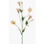Faux Lisianthus PAZAN, rose-crème, 70cm