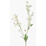 Bouton d'or artificiel LOTA, crème, 85cm