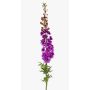 Fausse fleur Pied d'alouette SZILVIA, lilas, 130cm