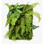 Mur végétal artificiel ALTERE, fougère et alocasia, vert, 60x40cm