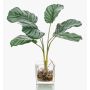 Calathea Orbifolia artificiel AGINA, pot en verre, vert-blanc, 35cm