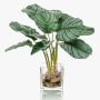 Calathea Orbifolia artificiel AGINA, pot en verre, vert-blanc, 40cm