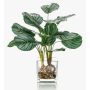 Calathea Orbifolia artificiel AGINA, pot en verre, vert-blanc, 45cm