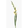 Glaïeul artificiel AJNUR, jaune, 125cm