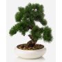 Bonsaï pin artificiel MIRSANDA dans une coupe décorative, 35cm