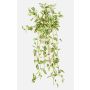 Plante artificielle Tradescantia zebrina DIHALLO sur tige, retombante, vert-blanc, 70 cm