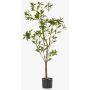 Arbre artificiel « plante à thé » GUSHON, tronc artificiel, vert, 120 cm