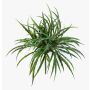 Roseau artificiel KATHALEA sur tige, crossdoor, vert, 35 cm