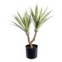 Plante succulente artificielle Agave furcraea gigantea ZIFTE, tronc artificiel, vert, 60cm