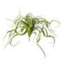 Plante succulente artificielle Tillandsia streptophylla KRIFT, piquet, vert, 70cm
