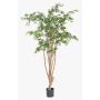 Plante artificielle « Érable japonais » ILIANU, troncs naturels, vert, 180 cm