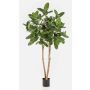 Figuier banyan artificiel LEIFA avec lianes, tronc naturel, vert, 200 cm