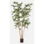 Arbre artificiel Bucida Buceras LEANDRI, tronc naturel, vert, 210 cm